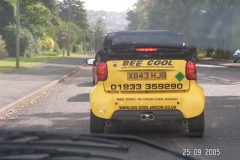 Bumble-On-The-Road